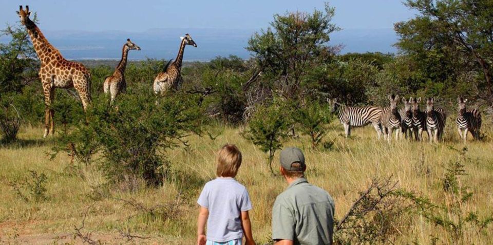 15 Day South Africa Tour - Goes Twice Monthly on 1st & 16th - Booking Information