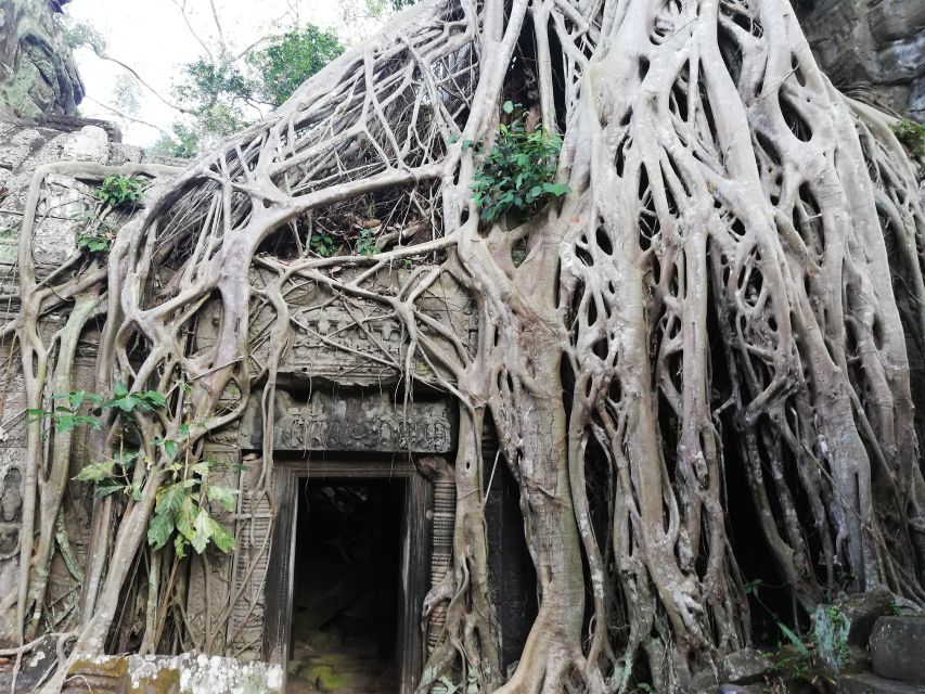2-Day Angkor Complex; Beng Mealea & Kompong Phluk Village - Additional Inclusions