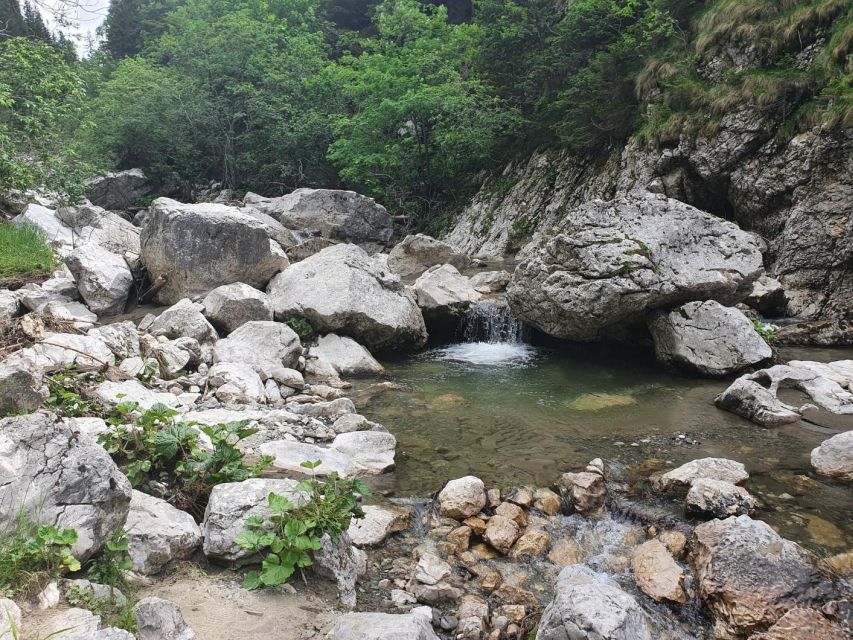 2 Days Private Tour - the Romanian Caves From Bucharest - Booking Information