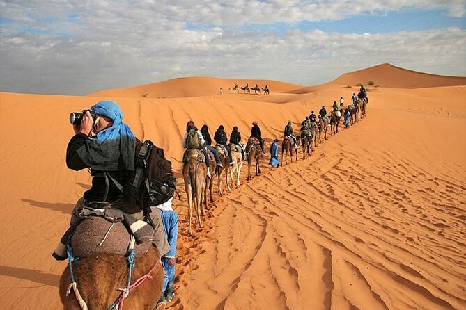 2 Days Sahara Group Tour Fez to Marrakech via Merzouga - Customer Testimonials