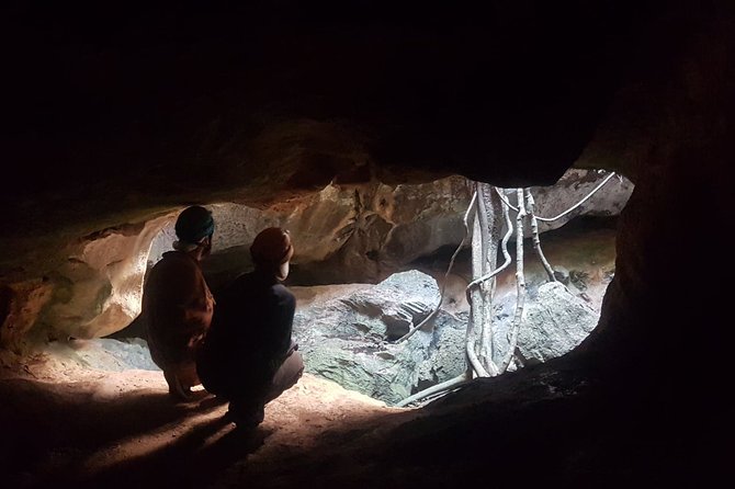2-Hour Capricorn Caves Adventure Caving Excursion (Mar ) - Common questions