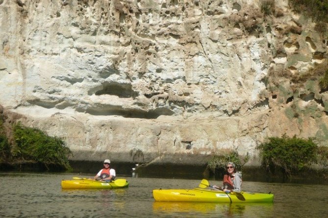 2-Hour Waikato River Guided Kayak Trip From Taupo - Meeting Point