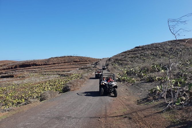 2h Buggy Tour Guided by the North of Lanzarote - Participant Requirements