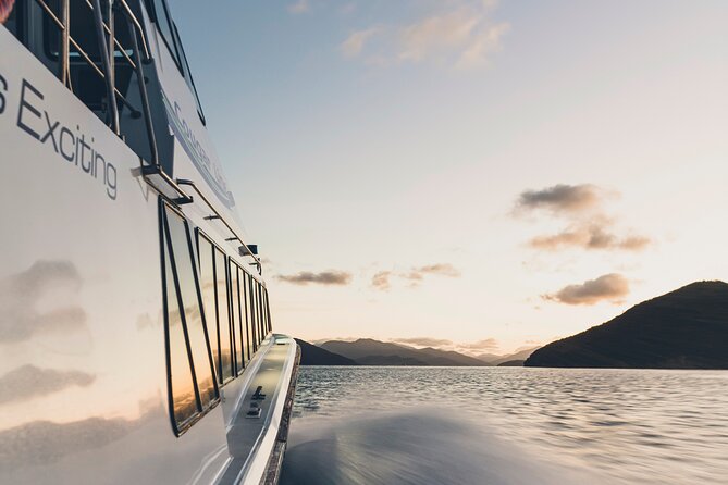 3.5 Hour Marlborough Sounds Delivery Cruise - Additional Tour Information