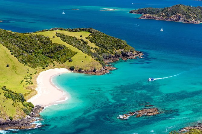 3-Day Bay of Islands Tour From Auckland - Reviews and Testimonials