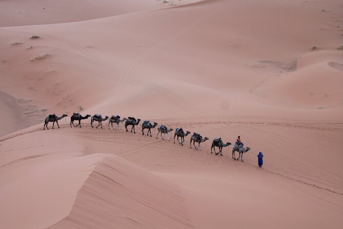 3-Days Morocco Desert Tour From Marrakech to Marzouga - Testimonials and Ratings From Travelers