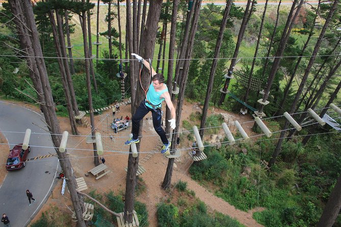 3-Hour Admission to Forest Obstacle Course, Auckland - Last Words