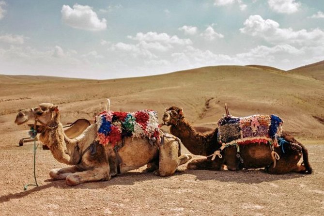 4 Days: Private Desert Tour From Marrakech to Merzouga & Camel Trek - Last Words