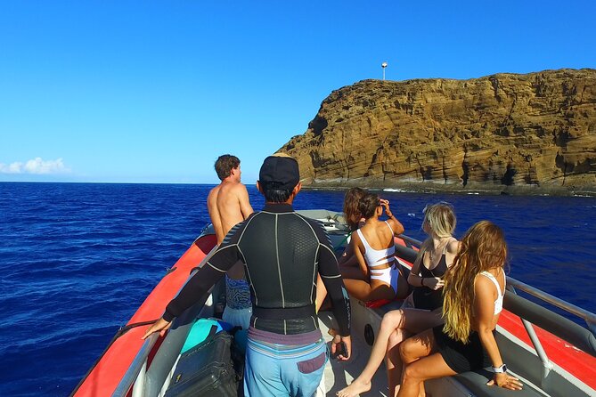 4-Hour Molokini Crater Plus Turtle Town Snorkeling Experience - Viator Booking Experience