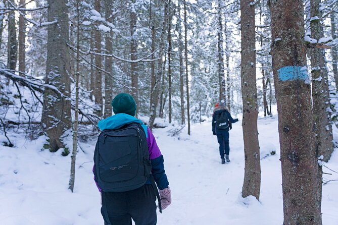 4 Hours Winter View of the Oslofjord Walk Tour - Common questions