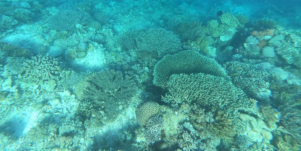 4 Spot Snorkeling and Nusa Penida Tour Land - Directions