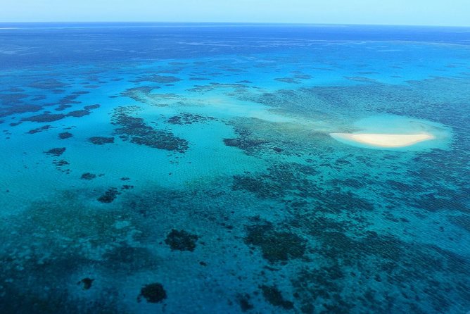 40-Minute Great Barrier Reef Scenic Flight From Cairns - Terms, Conditions, and Insights