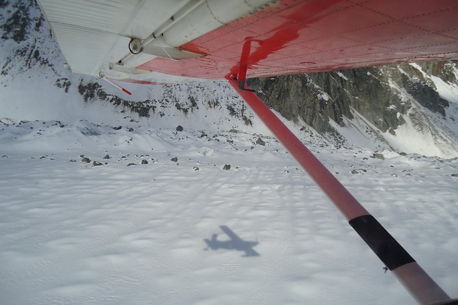 45-Minute Glacier Highlights Ski Plane Tour From Mount Cook - Additional Information