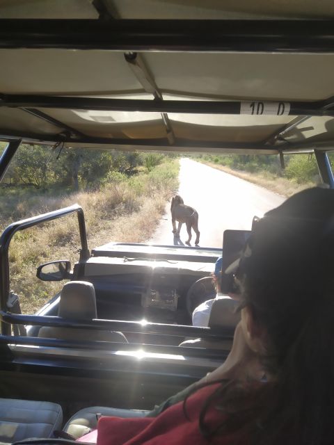5 Day All Inclusive Kruger Safari & Panorama Tour From JHB - Common questions