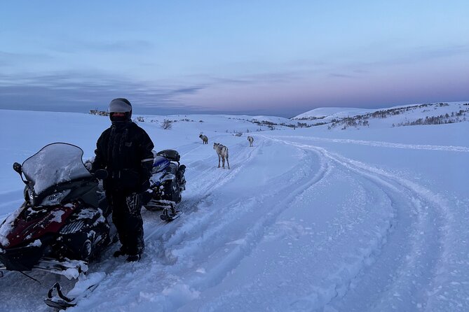 5-Hour Snowmobile Safari on the Arctic Tundra. Have Fun & Explore! - Cancellation Policy