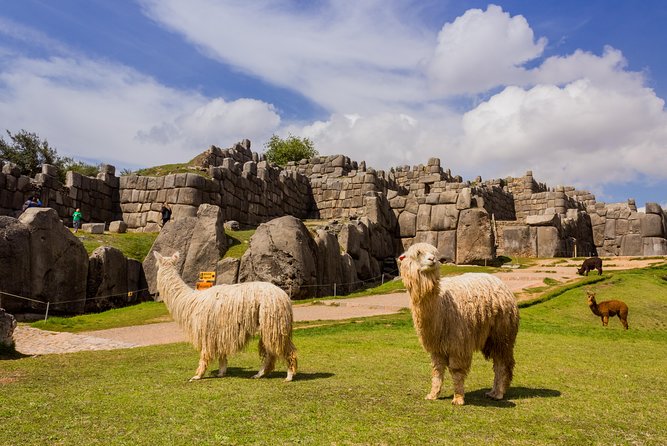 6 Day Best of Peru: Cusco, Machu Picchu and Lake Titicaca Tour - Last Words