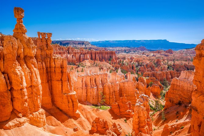 7-Day Zion, Bryce, Monument Valley, Arches and Grand Canyon Tour - Last Words