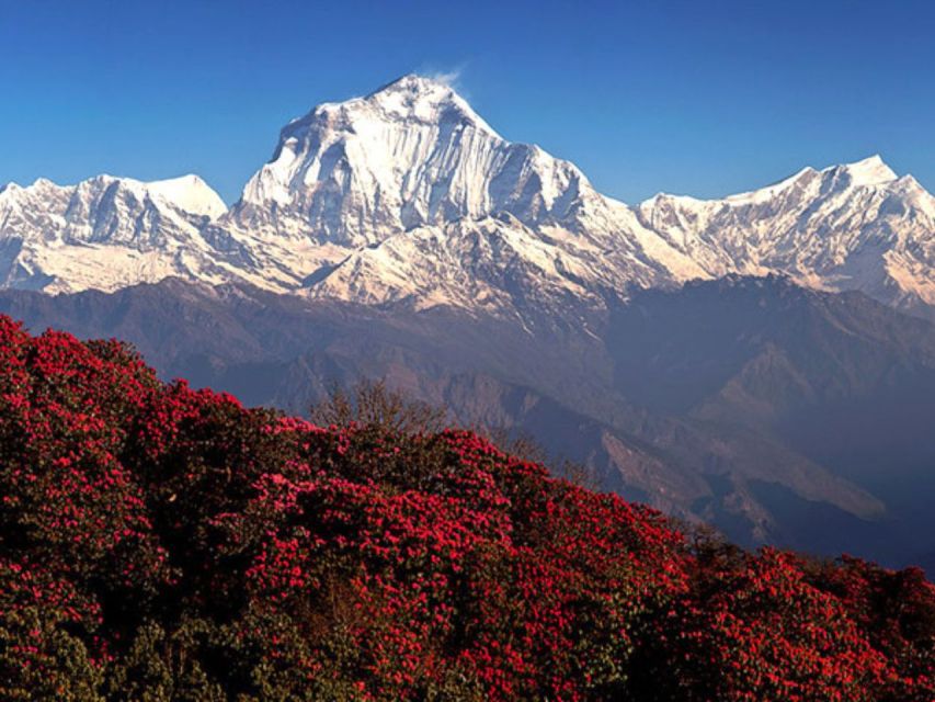 9-Day Annapurna Base Camp via Poon Hill - Live Tour Guides and Pickup