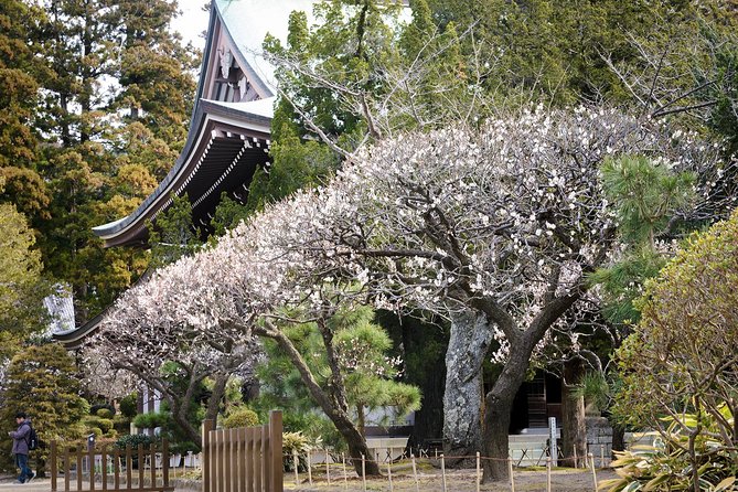 A Fun Day Out Discovering Kamakura - Relaxing at Yuigahama Beach