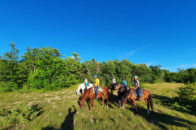 A Small-Group, Guided Haute-Provence Horseback Tour (Mar ) - Common questions