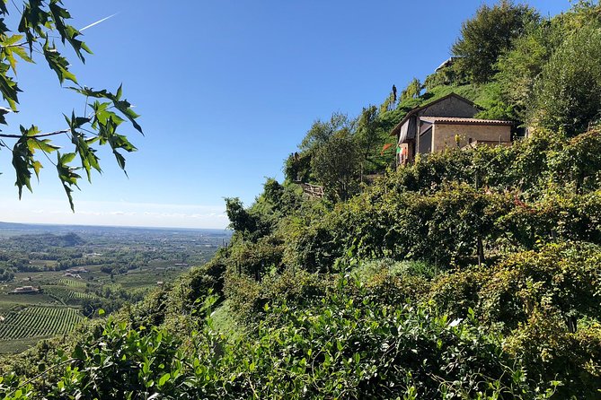 A Sparkling Day in the Prosecco Hills- From Venice - Last Words