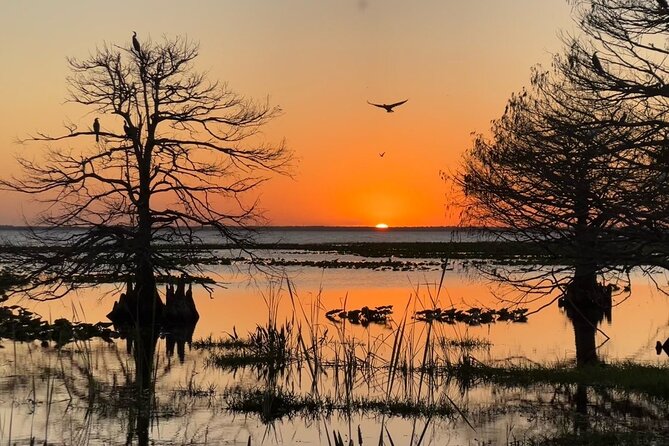 A Sunset Airboat Tour of the Florida Everglades (Mar ) - Terms and Conditions