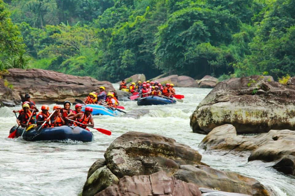 Adventure Experience A in Kitulgala - Last Words