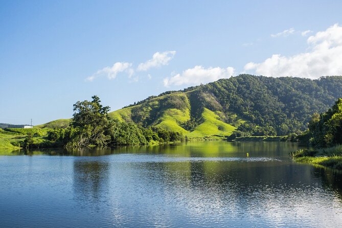 Afternoon Tour Mossman Gorge & Daintree River From Port Douglas - Additional Information