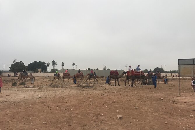 Agadir Camel Riding - Explore Agadir Camel Riding Details