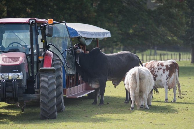 Agrodome Farm Experience Including Farm Show and Farm Tour - Rotorua - Public Transport Information