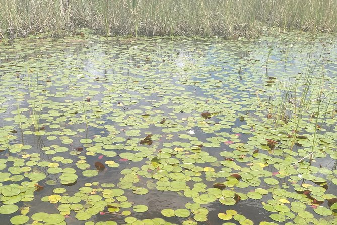 Air Boat Tour of Palm Beach in The Swamp Monster - Common questions