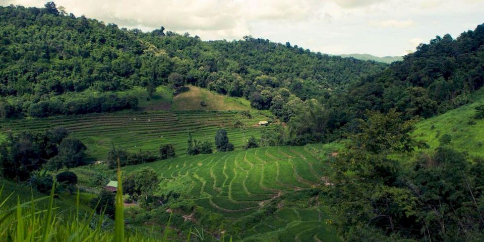 Akha & Lahu Village Trekking 1 Day - Last Words