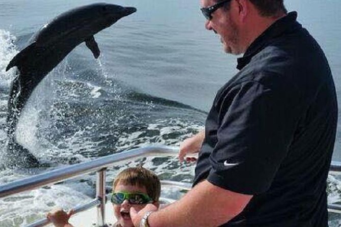 Alabama Gulf Coast Dolphin Cruise - Background