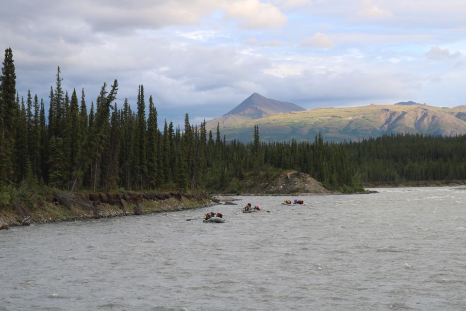 Alaska: Denali National Park Class I-II Rafting Tour - Common questions