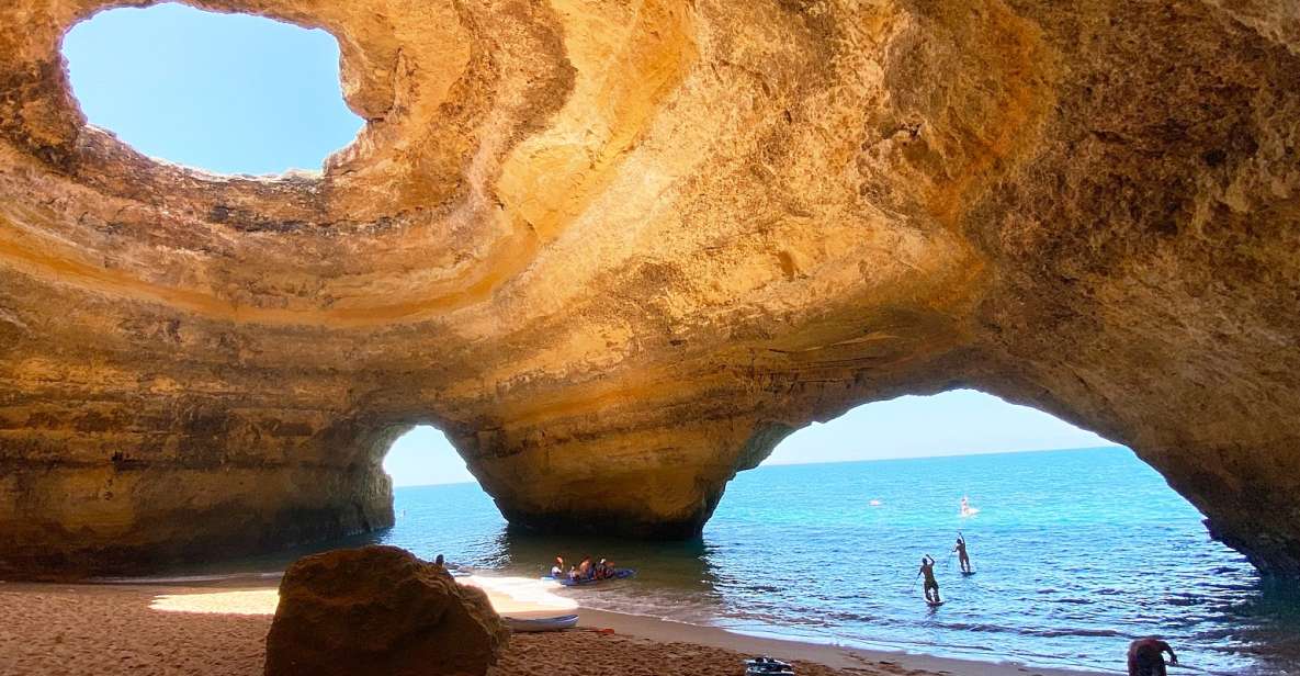 Albufeira: Benagil Caves & Dolphin Watching Speed Boat Tour - Common questions