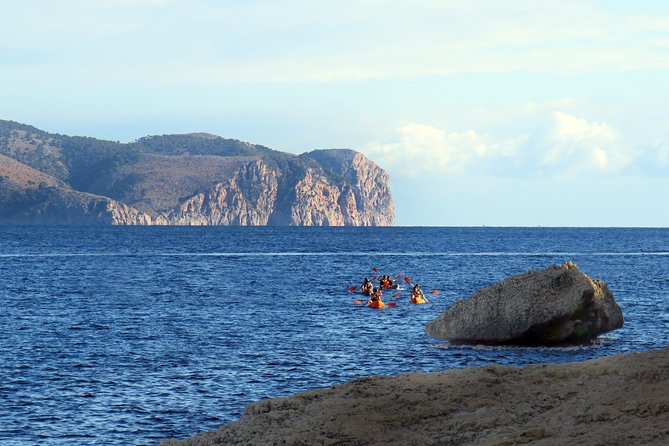 Alcudia: Guided Sea Kayaking & Snorkelling Tour (Day & Sunset) - Common questions