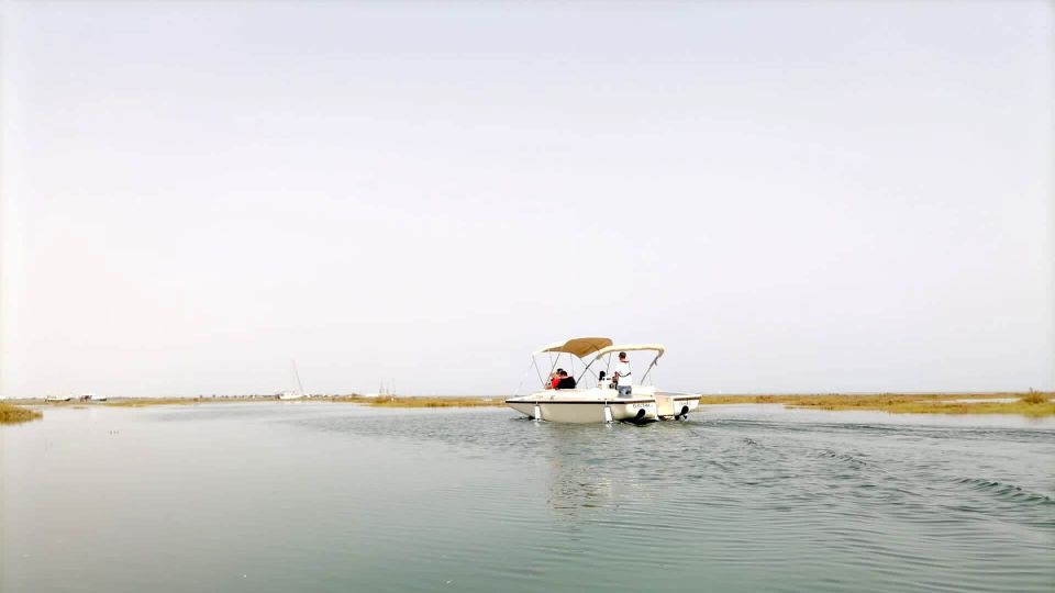 Algarve: Eco Boat Tour in the Ria Formosa Lagoon From Faro - Customer Reviews Insights