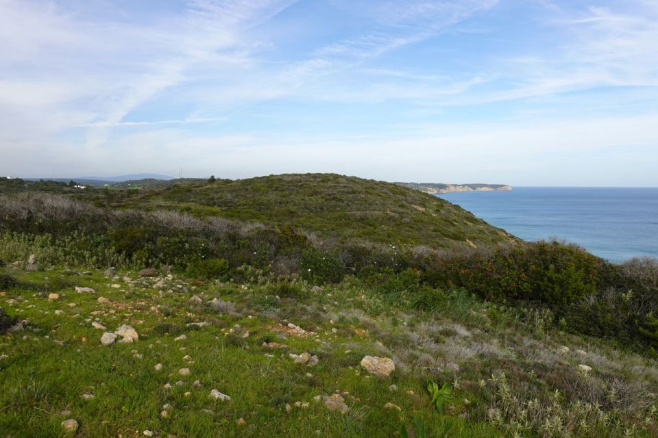 Algarve: Guided WALK in the Natural Park South Coast - Background