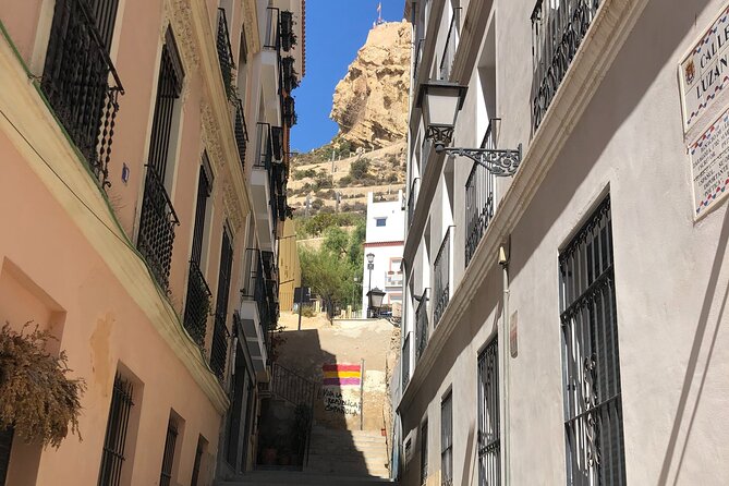 Alicante Highlights Private Tour With Castle - Customer Feedback and Reviews