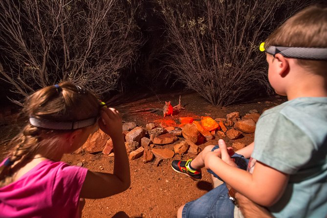 Alice Springs Desert Park Nocturnal Tour - Last Words