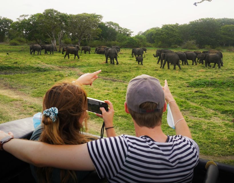 All-Inclusive Habarana Hurulu Eco Park Privet Halfday Safari - Last Words