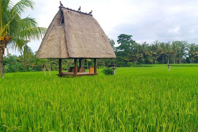 All-Inclusive Ubud Tour - Tour Experiences