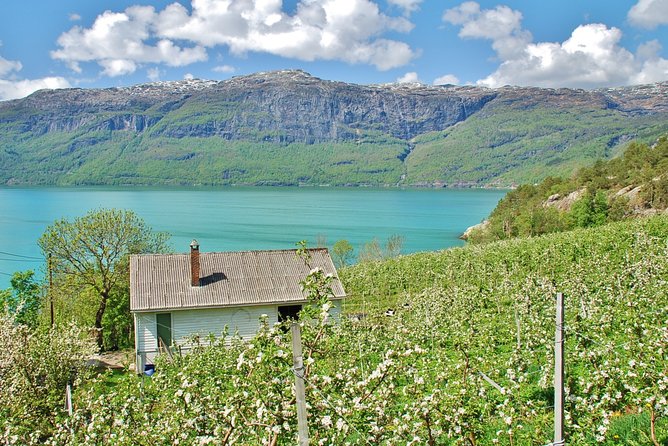 AMAZING Hardanger: Private Round Trip With Fjord Cruise – From Bergen, 11 Hours - Additional Information