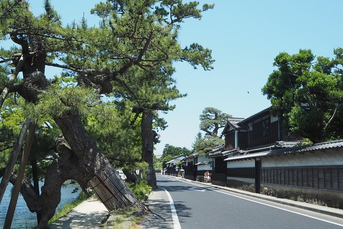 An E-Bike Cycling Tour of Matsue That Will Add to Your Enjoyment of the City - Cultural Experiences Included