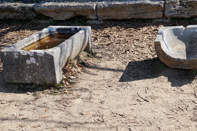 Ancient Olympia Private Tour From Athens - Health & Safety Measures