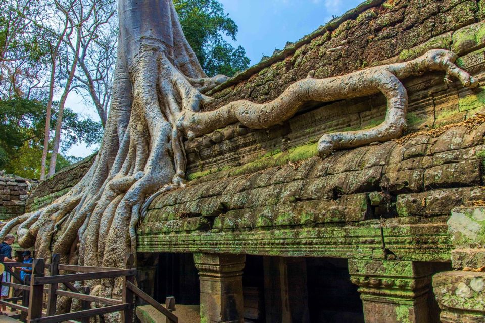 Angkor Wat Sunrise, Ta Promh, Banteay Srei, Bayon Day Tour - Common questions