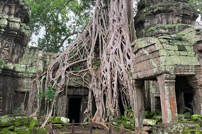 Angkor Wat Sunset Tour - Traveler Photos