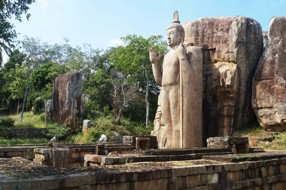 Anuradhapura Ancient City Guided Day Tour From Kandy - Last Words