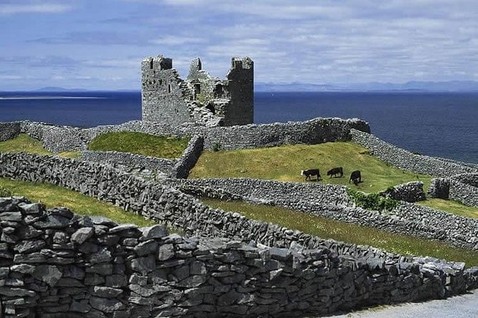 Aran Islands and Cliffs of Moher Cruise From Galway - Tour Guides