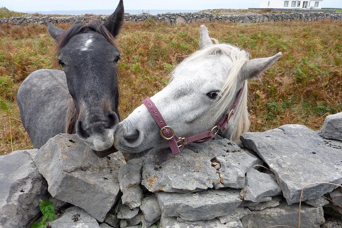 Aran Islands Scenic Flight and Galway Rail Tour From Dublin - Last Words